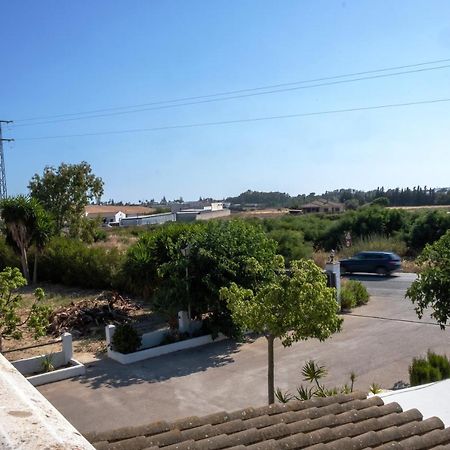 Loft sin cocina y terraza Conil De La Frontera Exterior foto